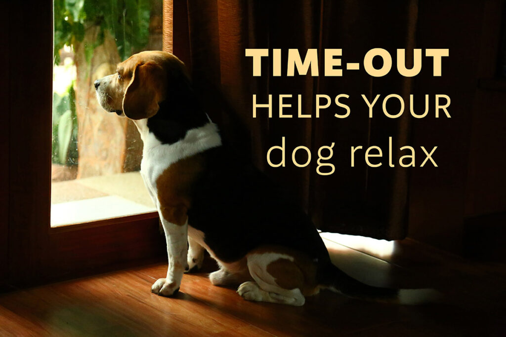 If your dog is showing signs of extreme anxiety or restlessness, consider giving them a brief time-out. 