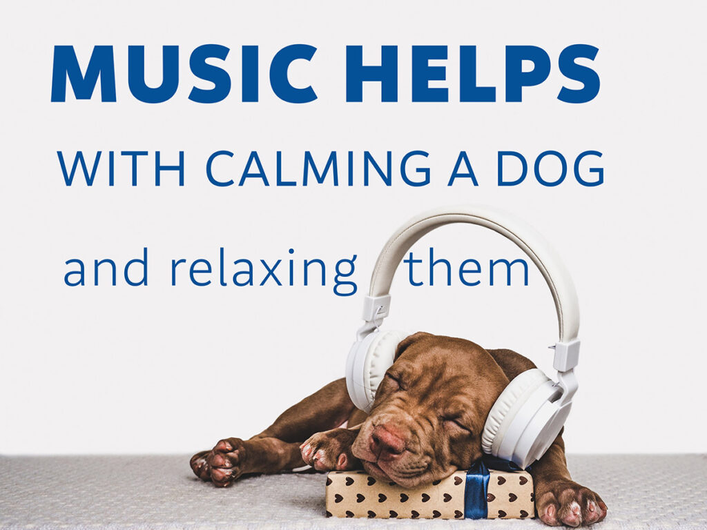 Calming music or white noise can help in calming a dog by masking disturbing sounds like thunderstorms or fireworks.