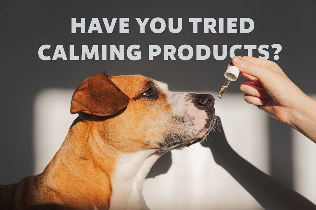 There are many calming products available that are designed to help with stress and anxiety in dogs.