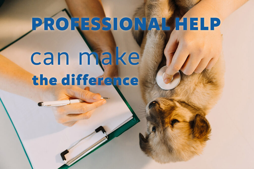 If you’ve tried various strategies and your dog’s anxiety continues to be a challenge, don’t hesitate to reach out for professional help.
