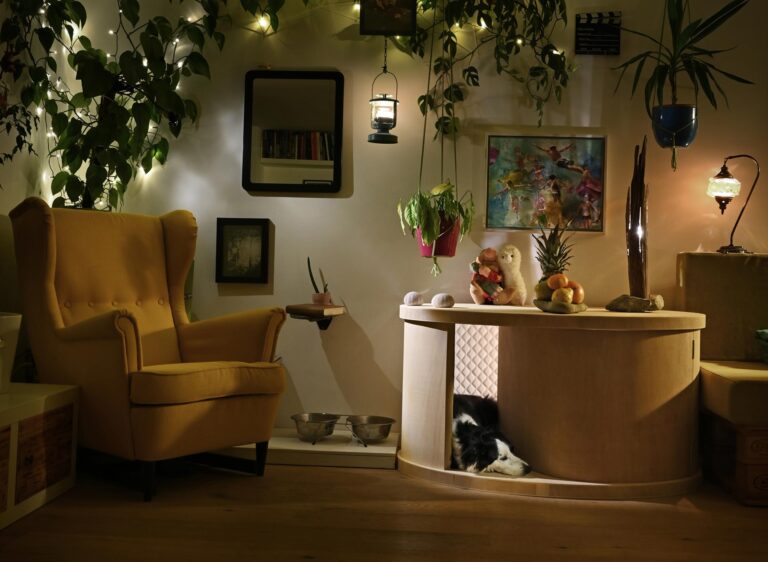 Choosing the Perfect Indoor Dog House: Comfort, Style, and Functionality for Your Pet